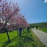 Am Gaesschen